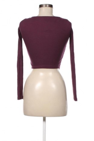 Damen Shirt Zara, Größe S, Farbe Lila, Preis € 37,50