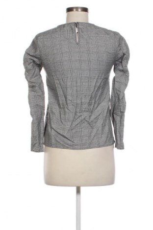 Damen Shirt Zara, Größe XS, Farbe Mehrfarbig, Preis € 4,99