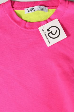 Damen Shirt Zara, Größe S, Farbe Rosa, Preis 9,99 €