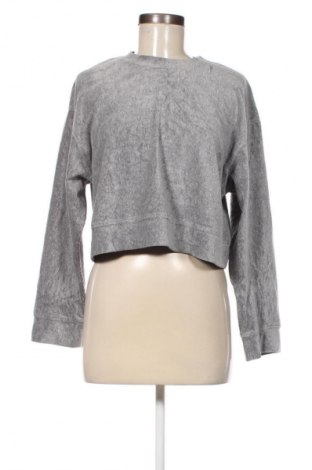 Damen Shirt Zara, Größe S, Farbe Grau, Preis € 5,99