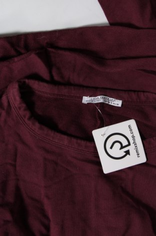 Damen Shirt Zara Trafaluc, Größe S, Farbe Rot, Preis € 6,99