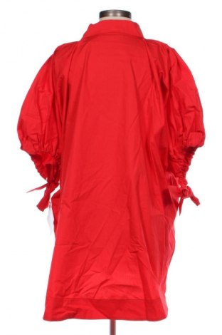 Damenbluse ALESSIO BARDELLE, Größe XL, Farbe Rot, Preis € 44,99