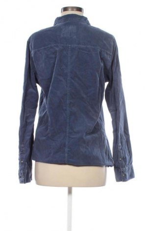 Damenbluse Abercrombie & Fitch, Größe L, Farbe Blau, Preis 33,99 €