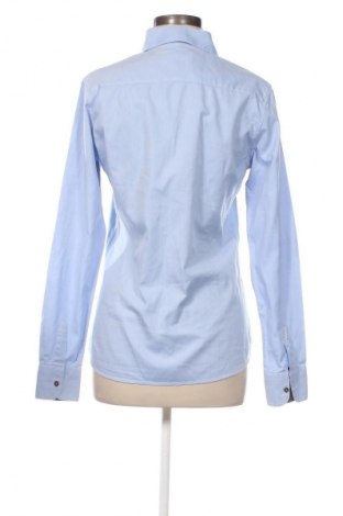 Damenbluse Aglini, Größe L, Farbe Blau, Preis 29,99 €