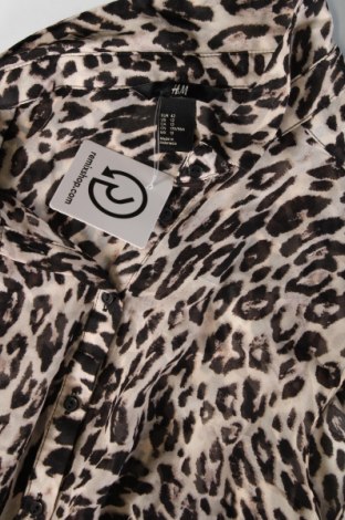 Damenbluse H&M, Größe L, Farbe Mehrfarbig, Preis € 10,99