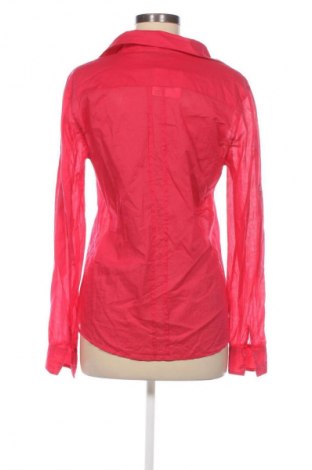 Damenbluse Hallhuber, Größe M, Farbe Rosa, Preis 15,99 €