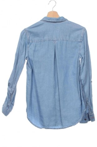 Damenbluse Holding Horses, Größe XS, Farbe Blau, Preis 14,99 €