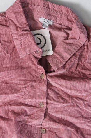 Damenbluse Oviesse, Größe L, Farbe Rosa, Preis 7,49 €