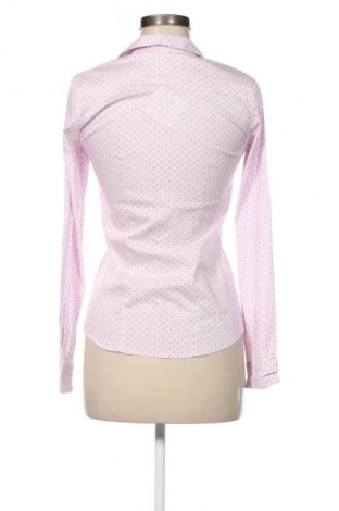 Damenbluse Tex, Größe S, Farbe Rosa, Preis € 7,49