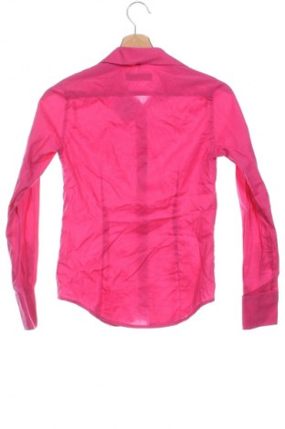 Damenbluse Vegea, Größe XS, Farbe Rosa, Preis 11,99 €