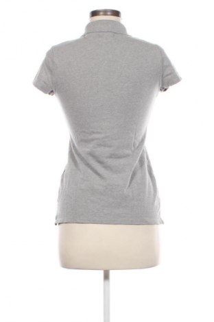 Damen T-Shirt Hollister, Größe M, Farbe Grau, Preis 9,00 €