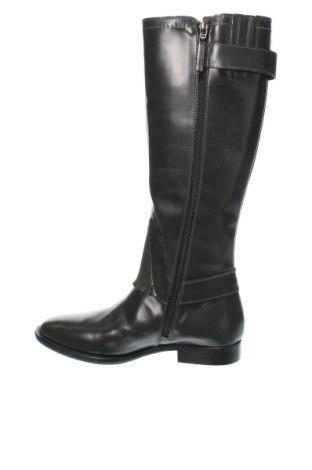 Damenstiefel Francesco Morichetti, Größe 35, Farbe Grün, Preis € 52,99