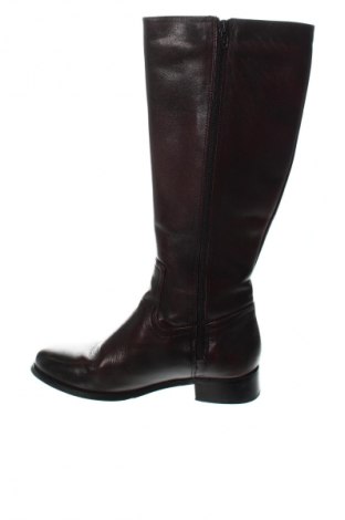 Damenstiefel Oui, Größe 36, Farbe Braun, Preis € 52,99