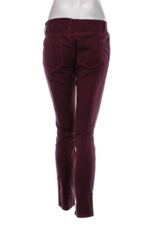 Damen Jeans Loft By Ann Taylor, Größe S, Farbe Rot, Preis 20,99 €