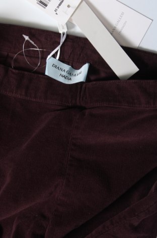 Pantaloni de velvet de femei Diana Gallesi, Mărime XS, Culoare Roșu, Preț 513,99 Lei