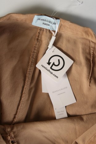 Pantaloni de velvet de femei Diana Gallesi, Mărime 3XL, Culoare Bej, Preț 410,99 Lei