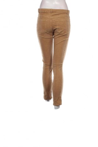 Damen Cordhose Mango, Größe S, Farbe Beige, Preis 7,49 €