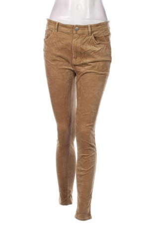 Damen Cordhose Massimo Dutti, Größe M, Farbe Braun, Preis € 14,99