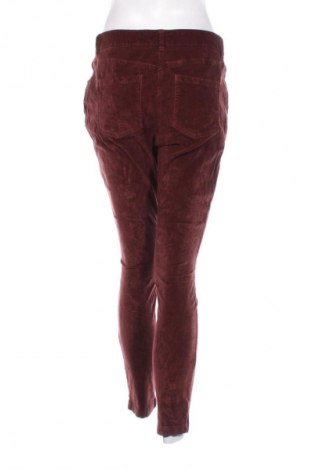 Damen Cordhose Next, Größe M, Farbe Rot, Preis 10,49 €