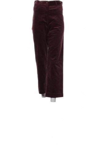 Pantaloni de velvet de femei Sessun, Mărime S, Culoare Roșu, Preț 720,99 Lei