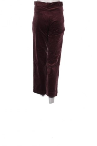 Damen Cordhose Sessun, Größe S, Farbe Rot, Preis € 84,99