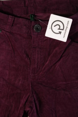 Pantaloni de velvet de femei United Colors Of Benetton, Mărime M, Culoare Mov, Preț 26,99 Lei