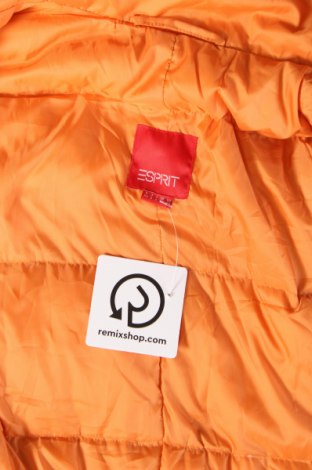 Damenweste Esprit, Größe XS, Farbe Orange, Preis € 21,99