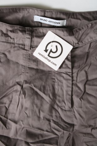 Damen Shorts, Größe M, Farbe Grau, Preis € 6,99