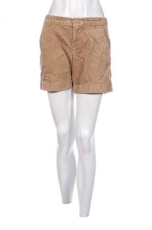 Damen Shorts Esprit, Größe M, Farbe Beige, Preis € 13,49