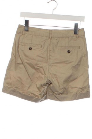 Damen Shorts Hallhuber, Größe XS, Farbe Beige, Preis 21,99 €