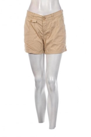 Damen Shorts Terranova, Größe M, Farbe Beige, Preis 4,99 €