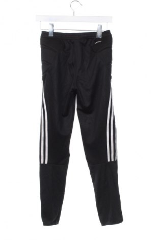 Damen Leggings Adidas, Größe XS, Farbe Schwarz, Preis 12,49 €