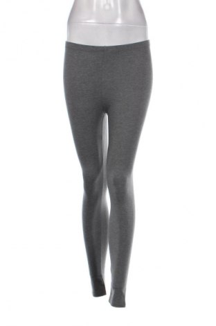 Damen Leggings Terranova, Größe S, Farbe Grau, Preis € 5,49