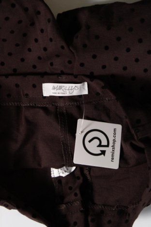 Damenhose Amaryllis, Größe M, Farbe Braun, Preis € 8,49