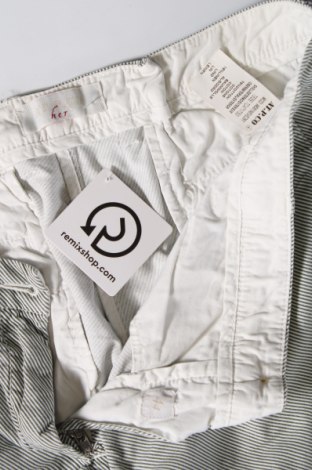 Damenhose At.P.Co, Größe L, Farbe Grau, Preis 24,99 €