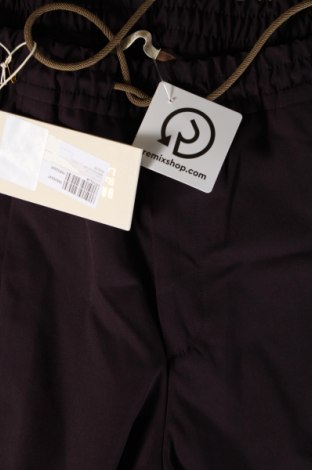 Pantaloni de femei Briglia 1949, Mărime L, Culoare Maro, Preț 237,99 Lei