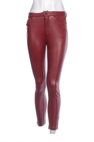 Damenhose Calzedonia, Größe S, Farbe Rot, Preis € 28,99