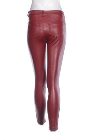 Damenhose Calzedonia, Größe S, Farbe Rot, Preis € 28,99