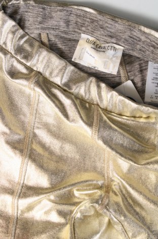 Damenhose Elisa Cavaletti, Größe S, Farbe Golden, Preis € 114,99