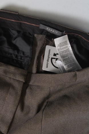 Damenhose Esmara, Größe XS, Farbe Braun, Preis € 7,49