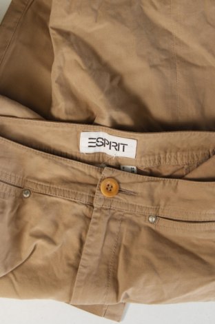 Дамски панталон Esprit, Размер S, Цвят Кафяв, Цена 14,99 лв.