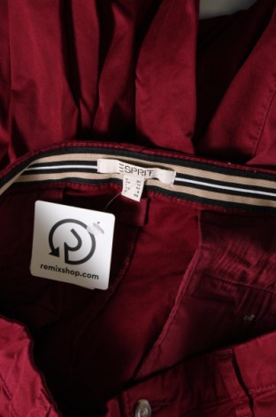 Damenhose Esprit, Größe M, Farbe Rot, Preis € 11,99