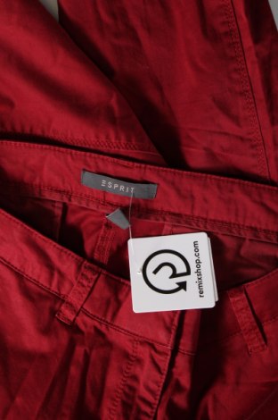 Damenhose Esprit, Größe S, Farbe Rot, Preis € 8,99