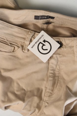 Damenhose Esprit, Größe XS, Farbe Beige, Preis € 28,99