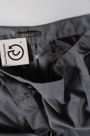 Damenhose Esprit, Größe L, Farbe Grau, Preis € 7,49