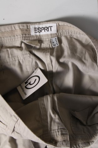 Damenhose Esprit, Größe L, Farbe Beige, Preis 28,99 €