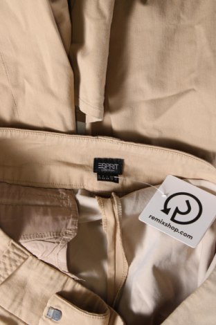 Damenhose Esprit, Größe L, Farbe Beige, Preis € 28,99