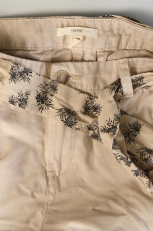 Damenhose Esprit, Größe XS, Farbe Beige, Preis € 28,99