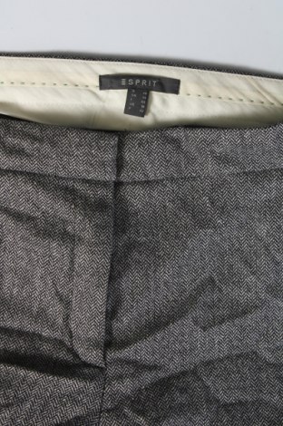 Damenhose Esprit, Größe XL, Farbe Grau, Preis 11,99 €