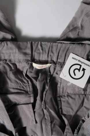 Damenhose Esprit, Größe XL, Farbe Grau, Preis € 14,99